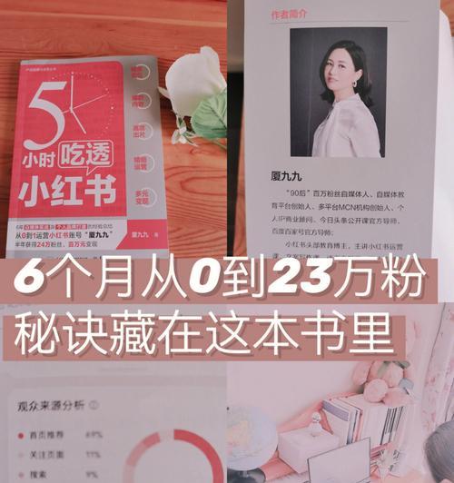 小红书店铺类型详解（不同店铺类型的区别与选择）