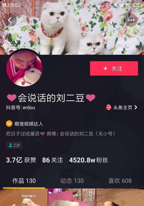 抖音好物推荐，让你的生活更美好（如何在抖音找到好物推荐视频素材）