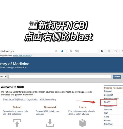 引物设计网站如何选择？选择最佳引物设计平台的五个关键点是什么？
