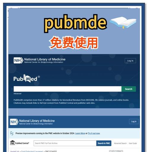 外国网址通常使用哪些搜索引擎进行搜索？