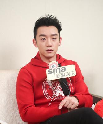 郑恺搜索引擎是真的吗还是假的？真相是什么？