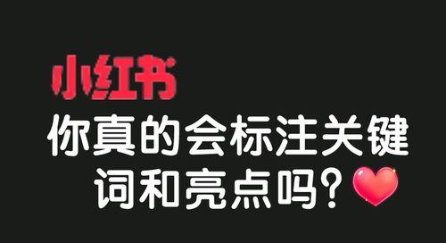 小红书蓝字关键词怎么打？提高笔记互动率的方法