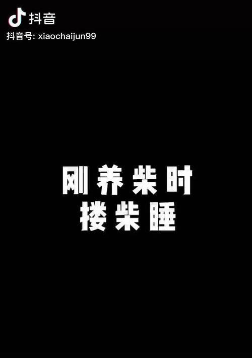 抖音萌宠视频关联关键词如何设置？