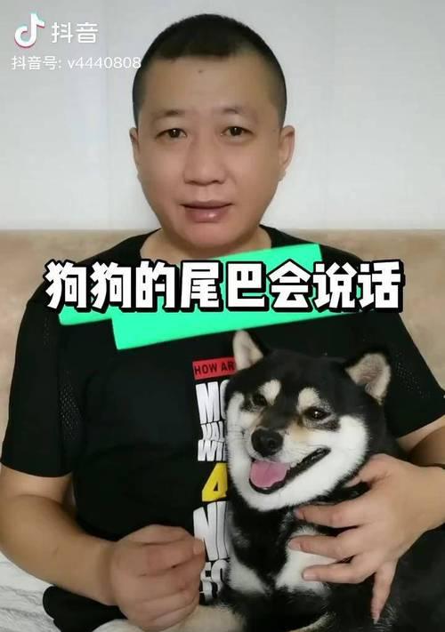抖音萌宠视频关联关键词如何设置？