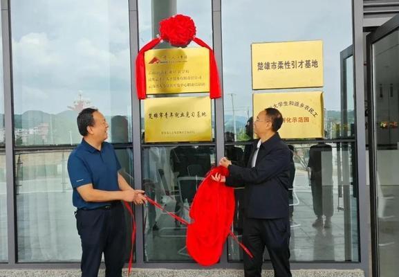 云南楚雄的网站优化多久能见效？