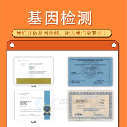 广元地区谷歌优化服务如何选择？