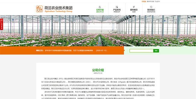 汉中地区如何找到专业的网站优化服务？