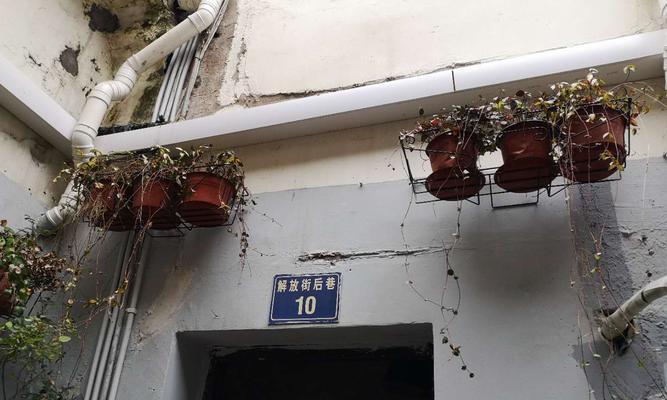 温州谷歌优化怎么样？温州地区的优化效果如何？