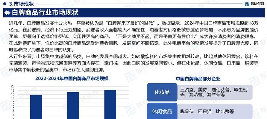 零食网站前景分析怎么写？如何评估市场潜力和风险？