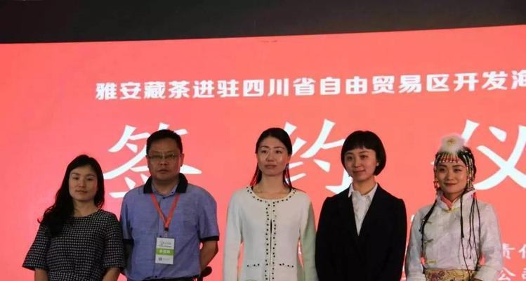 雅安网站的推广工作如何进行？常见问题有哪些解决方法？