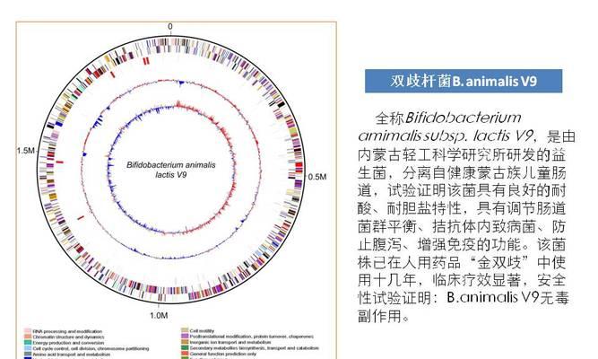 如何做生物产业网站推广？有效策略和常见问题解答？