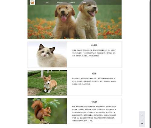 HTML网页技术有哪些？如何选择适合的网页技术？