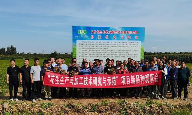 招远网站如何做推广？有哪些有效的推广策略？
