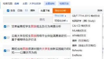 如何创建论文词频分析网站？需要哪些步骤和工具？