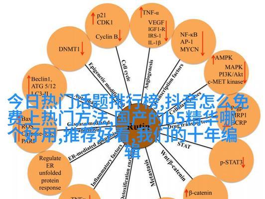 短视频优化要怎么优化呢？有哪些有效策略？