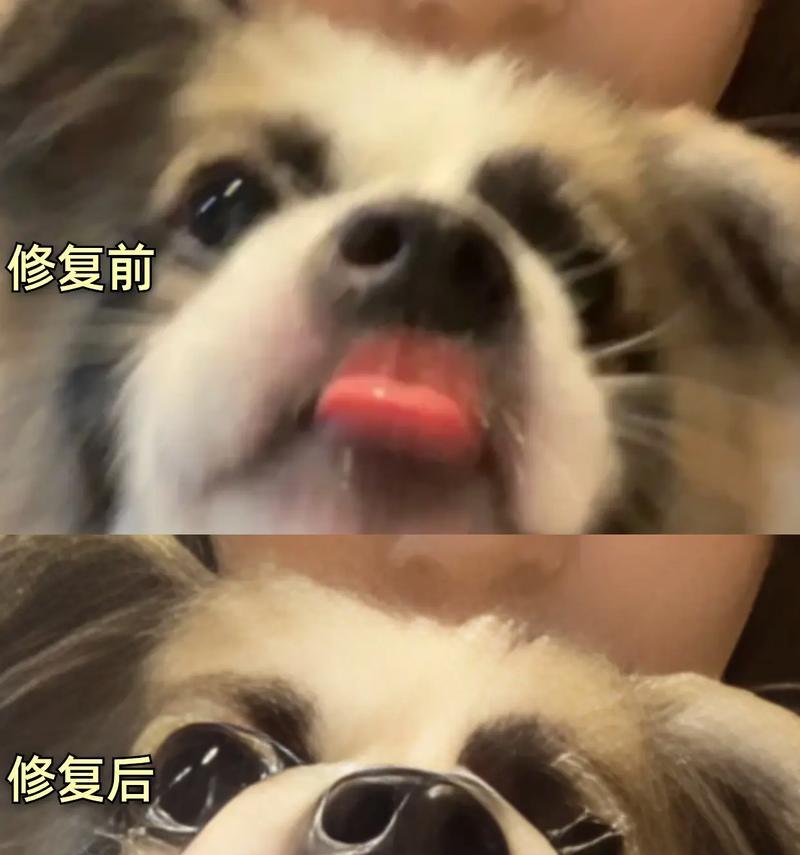 抖音照片模糊变清晰的剪辑技巧是什么？