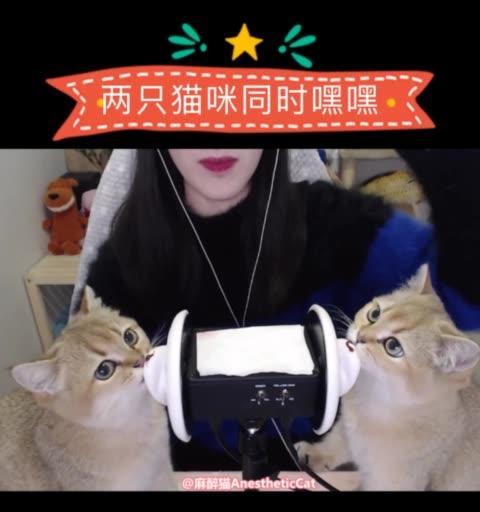 快手助眠视频剪辑软件怎么用？有哪些功能？