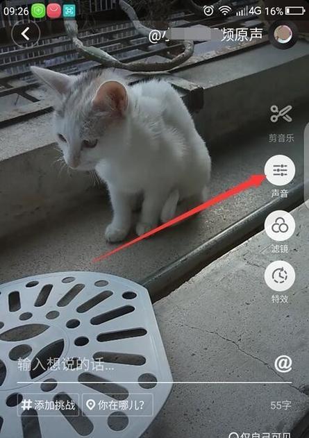 剪辑风吹的特效如何添加到抖音视频中？步骤是什么？