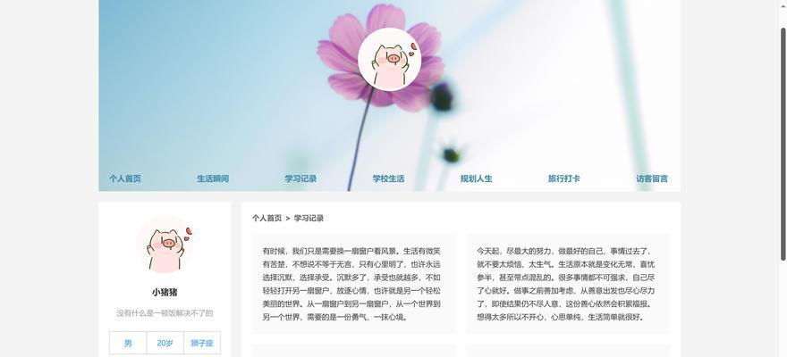 HTML网页实用代码有哪些？如何提高网页开发效率？