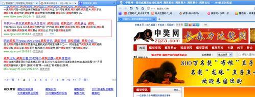 如何在网站进行推广赚钱？有哪些有效方法和常见问题解答？