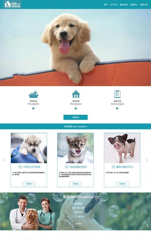 HTML页面中常见的控件有哪些？它们各自的作用是什么？