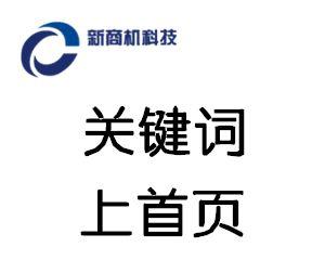 小说网站怎么优化关键词？提升SEO排名的有效策略是什么？