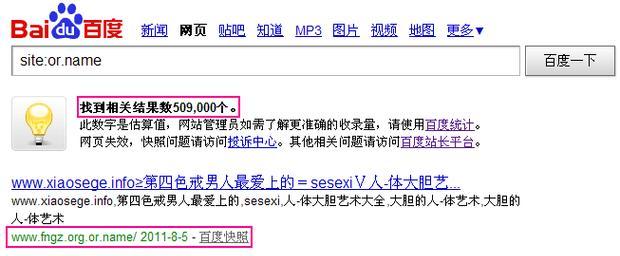 如何优化.net网站关键词？常见问题有哪些？