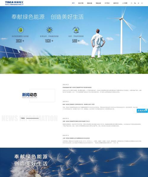 如何进行网站域名解析？解析过程中常见的问题有哪些？