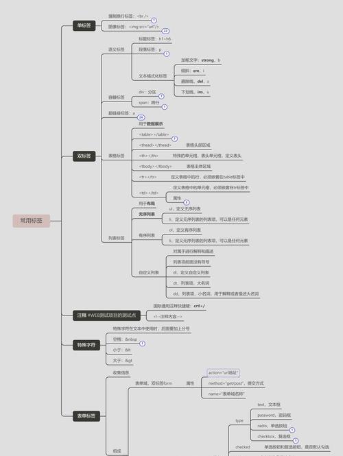 HTML标签指南：单标签与双标签的区别是什么？