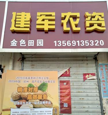 沁阳公司网站如何做推广？有哪些有效的推广策略？
