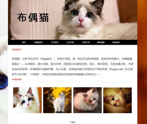 网站设计分析怎么写？如何进行有效的网站设计分析？