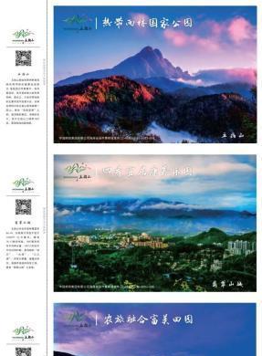海南如何推广公司网站？有哪些有效的网络营销策略？