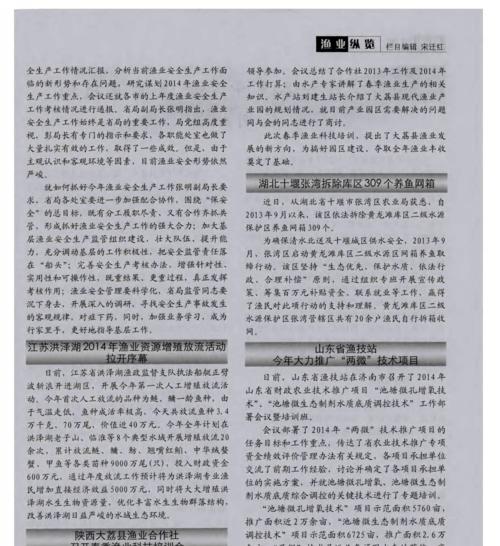 山东网站推广工作如何进行？常见问题有哪些解决方法？