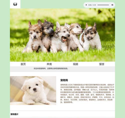 网站博客页面怎么做视频？视频内容如何优化SEO？