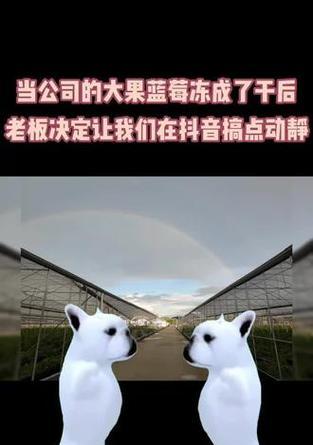 在抖音搞点动静怎么剪辑？视频编辑技巧有哪些？