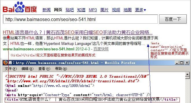 seo的查询代码是什么？如何正确使用以优化网站？