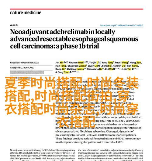 网站seo优化排名方法有哪些？如何有效提升网站SEO排名？
