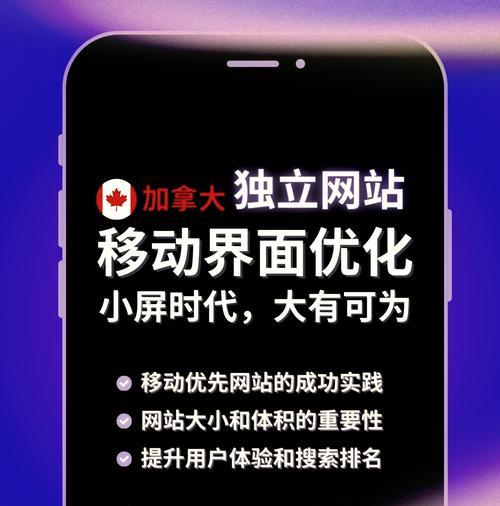 新网站优化的规则和技巧（如何让新网站获得更高的流量和用户转化率）