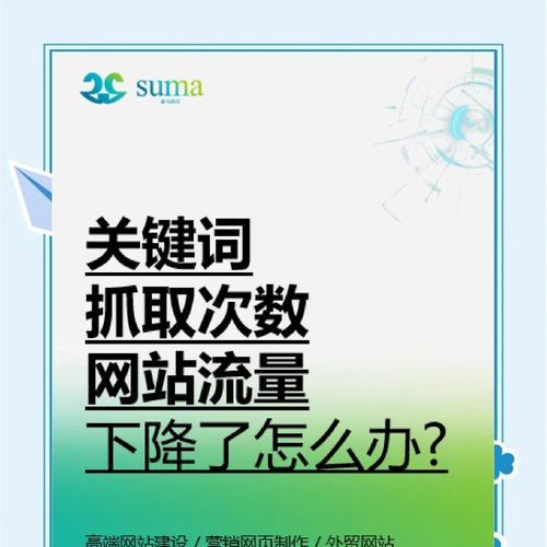 提升网站流量的关键流程（深入剖析网站优化的核心流量）