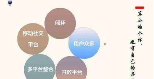 SEO优化与自媒体（比较与分析，帮你做出明智选择）