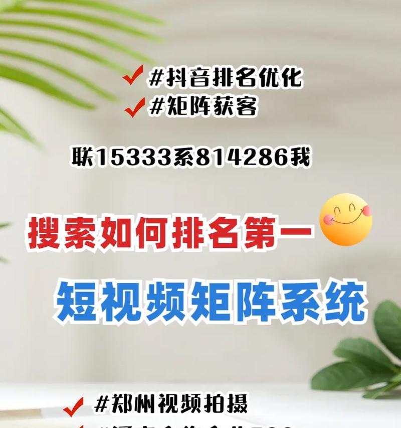 如何筛选提升SEO排名（掌握筛选技巧，让你的网站从“被忽略”到“倍受瞩目”）