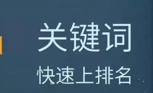 SEO推广中密度要注意哪些问题（掌握合适的密度，让你的网站更容易被搜索引擎收录）