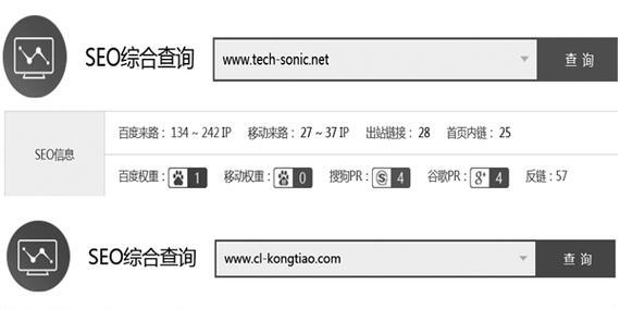 域名备案对SEO优化的影响（探究域名备案对网站排名的影响及其解决方案）