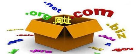 为什么域名对网站排名十分重要？（了解域名在SEO中的影响力以及如何选择正确的域名）