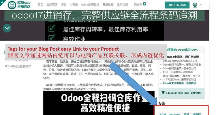 如何提升网站权重优化权重排名？（学习有效的SEO优化策略）